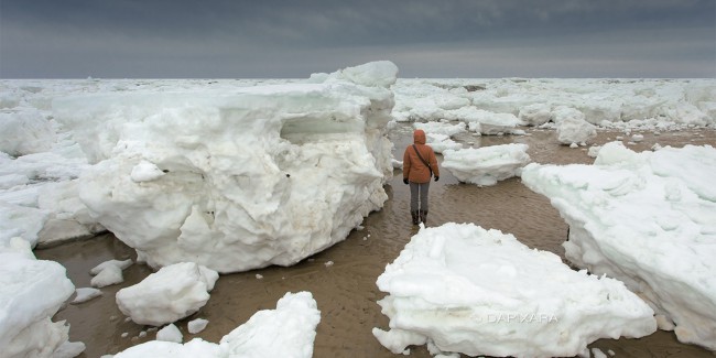 Sea ice Cape Cod