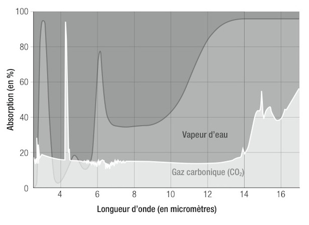 H2O vs CO2.jpg